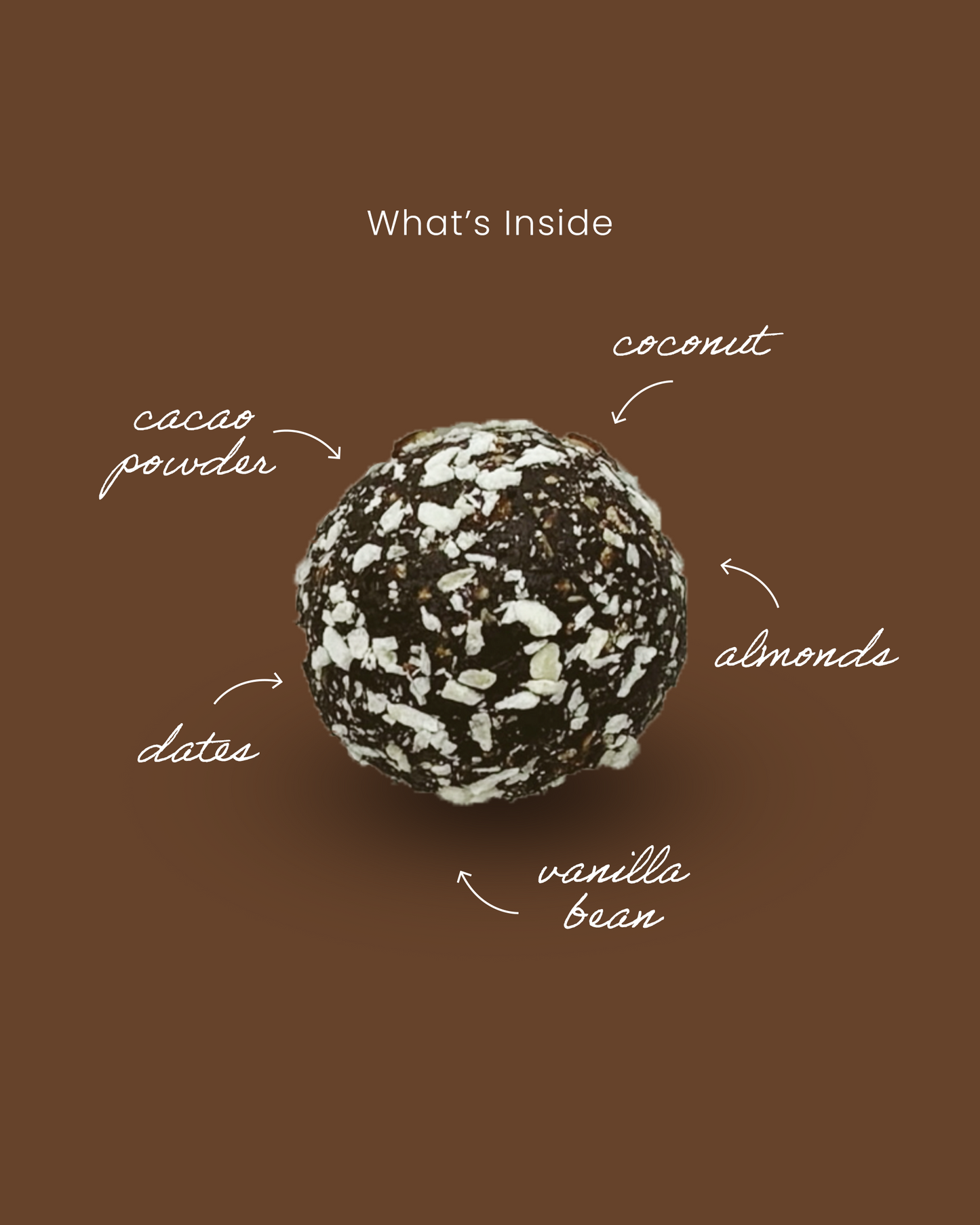 Cacao Almond Coconut Fruit Truffle