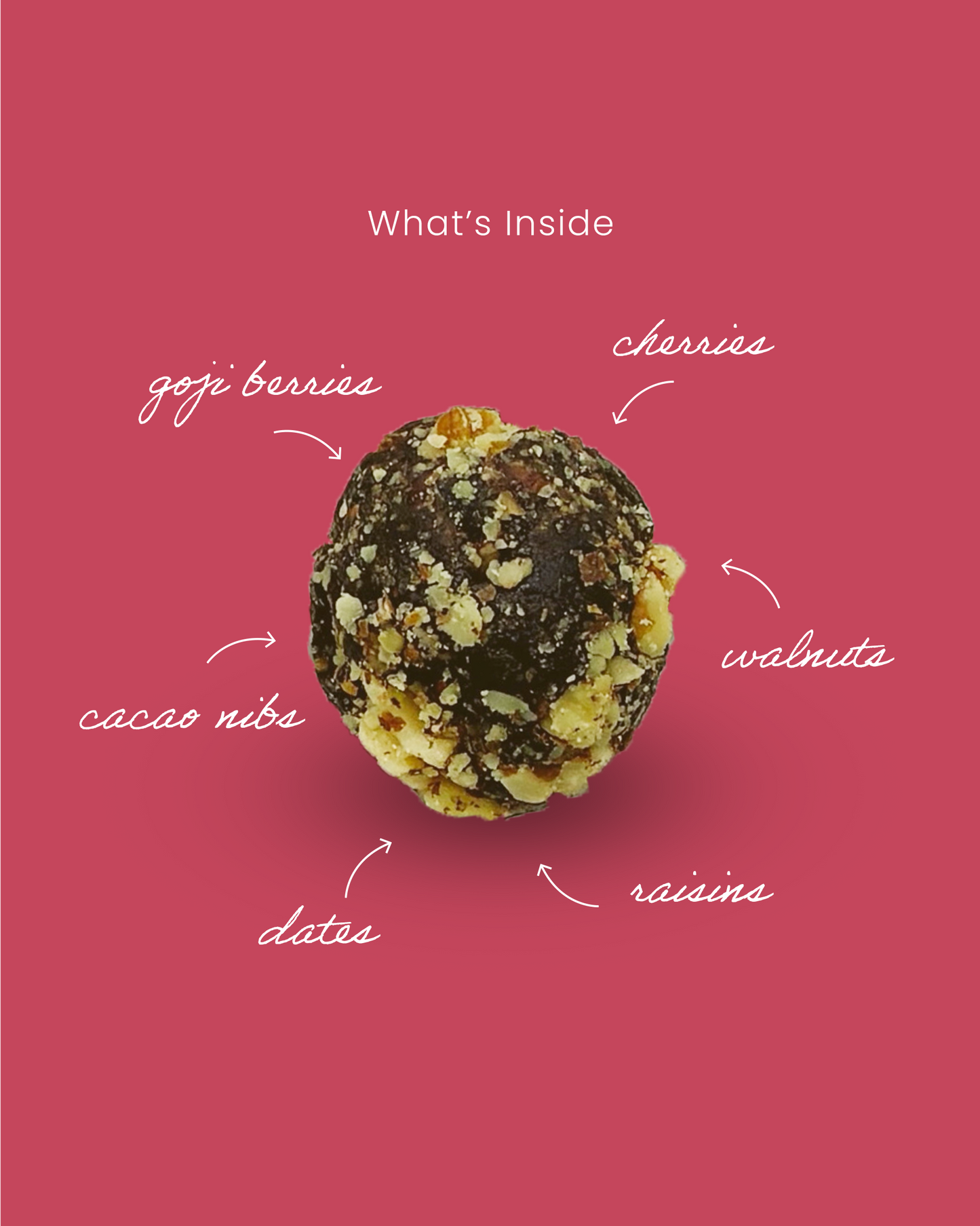 Goji Berry Mix Fruit Truffle