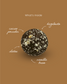 Cacao Hazelnut Fruit Truffle