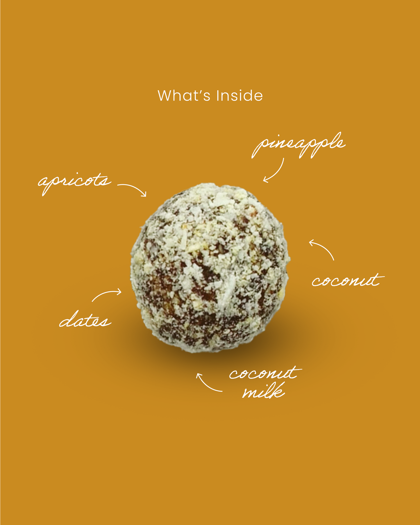 Pineapple Coconut Fruit Truffle