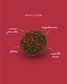 Cacao Raspberry Fruit Truffle