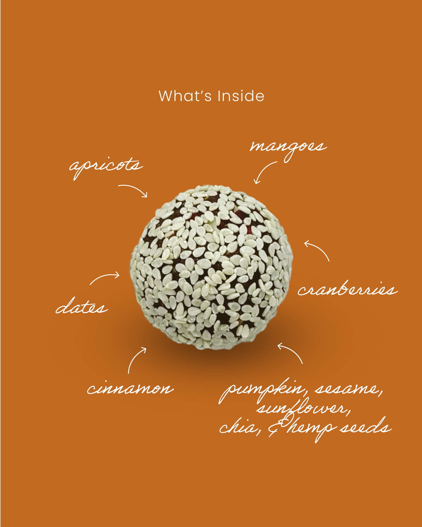 Seedy Mango Fruit Truffle